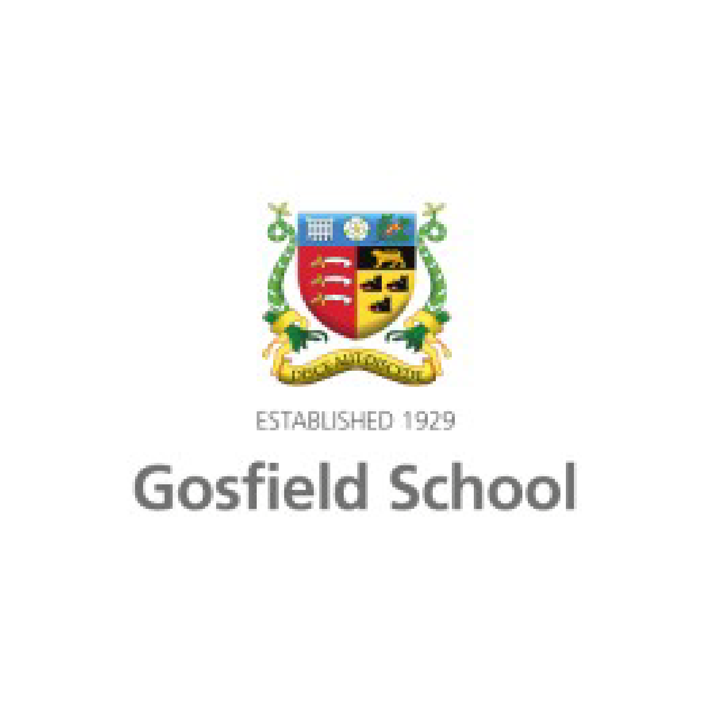 corporate live stream